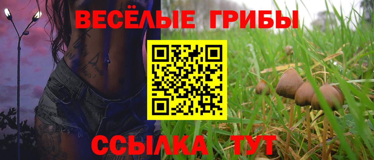 Псилоцибиновые грибы Psilocybe  Вход с VPN  Углич 